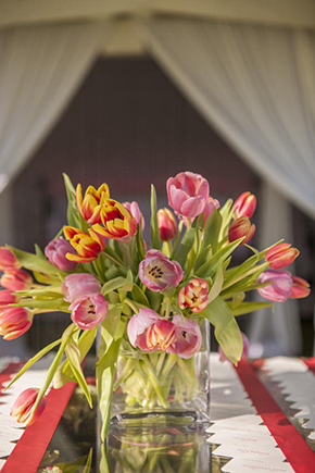 tulip wedding