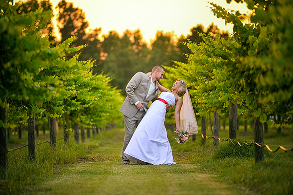 vineyard destination wedding