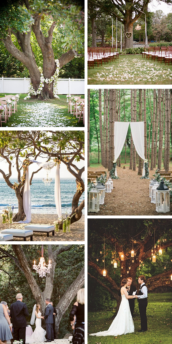 Outdoor Wedding Ceremony Under A Tree The Destination Wedding Blog 