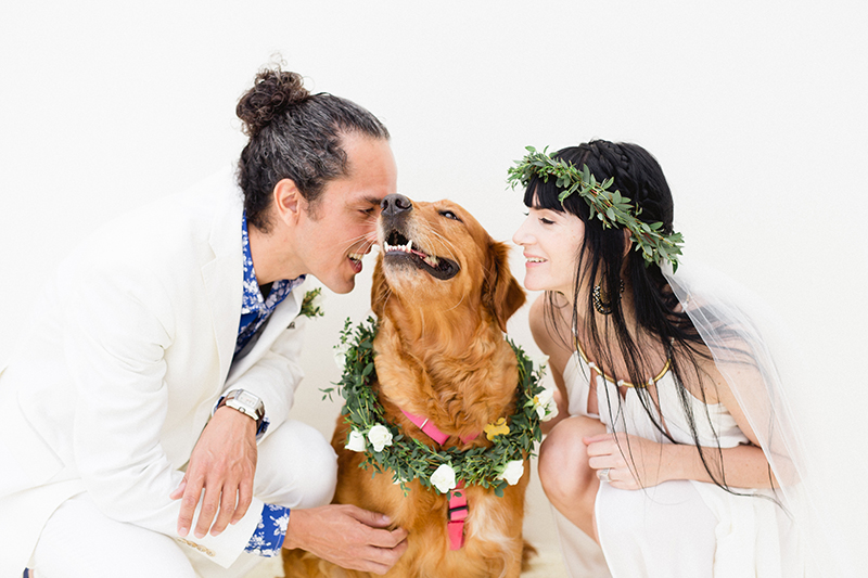 dog-friendly-weddings