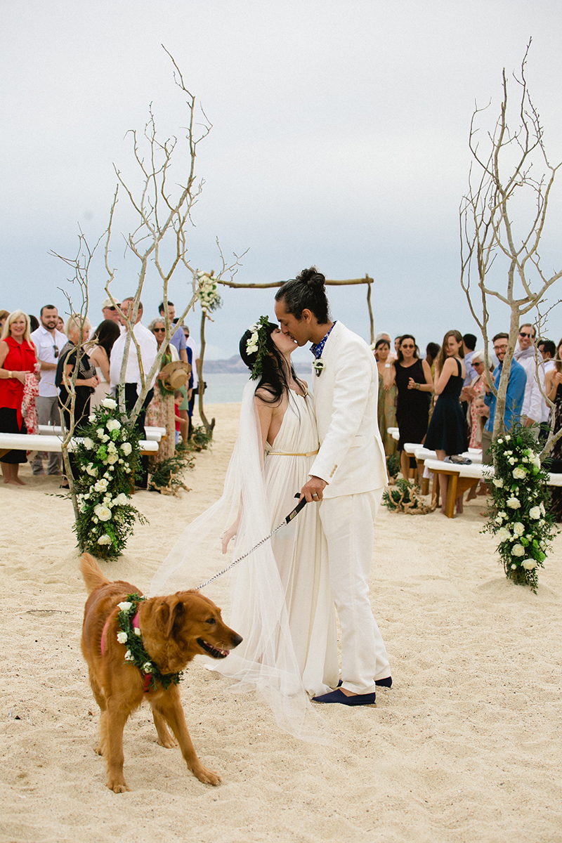 dog-wedding