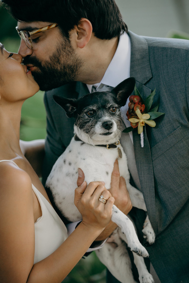 dogs-in-weddings